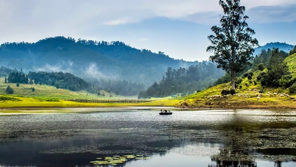 Now Kodaikanal has a very nice weather condition, Best place to celebrate Pongal festival 