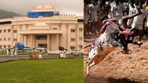 Can register names for alanganallur keelakarai jallikattu till today noon