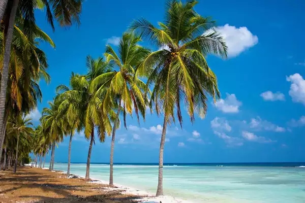  From Police station clearance to entry permit what are things needed to enter in Lakshadweep