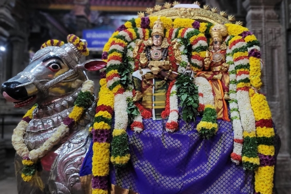 Madurai Meenakshi amman Temple Ashtami Chapparam Festival Today Padiyalakkum Sivaperuman Madurai Meenakshi amman Temple Ashtami Chapparam Festival Today Padiyalakkum Sivaperuman