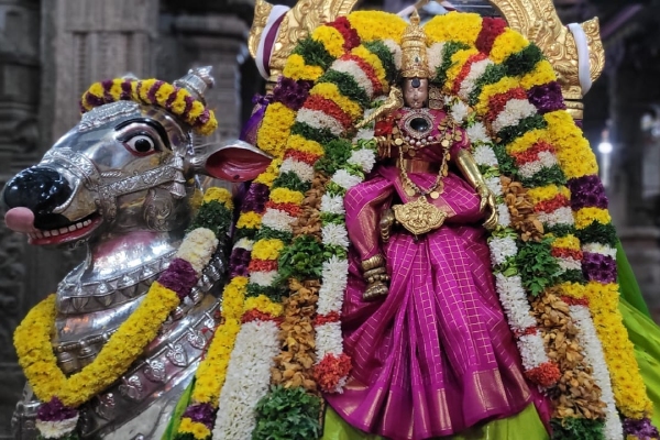Madurai Meenakshi amman Temple Ashtami Chapparam Festival Today Padiyalakkum Sivaperuman Madurai Meenakshi amman Temple Ashtami Chapparam Festival Today Padiyalakkum Sivaperuman