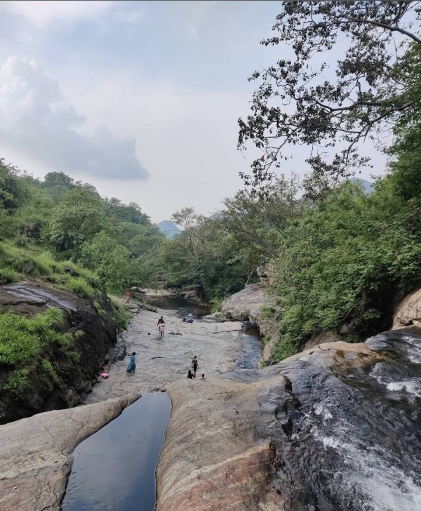 Shenbaga Thoppu, 8 km west from Srivilliputtur is a very good option for trekking 