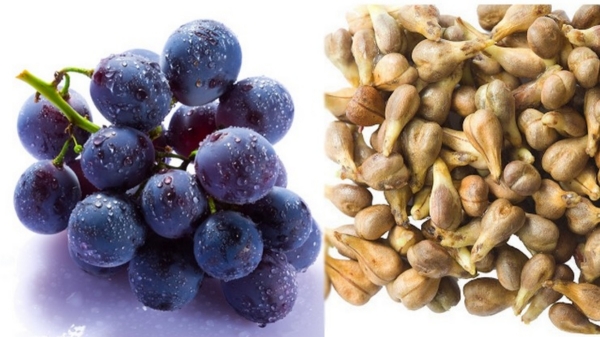 Do you know the Excellent Health Benefits of Grape Seeds and 5 Super Uses of Grape Seed Juice for Women