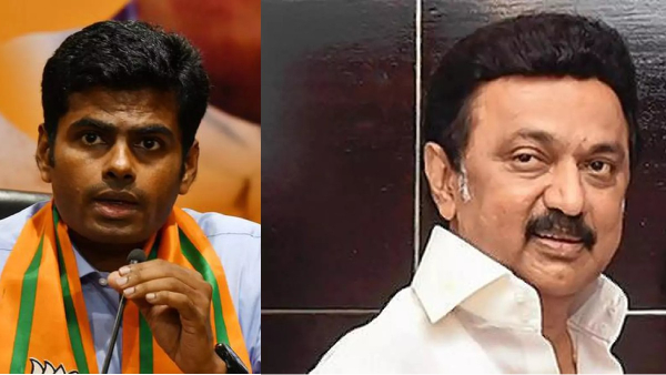 BJP criticizes dmk government that no efforts made to set up solar power parks