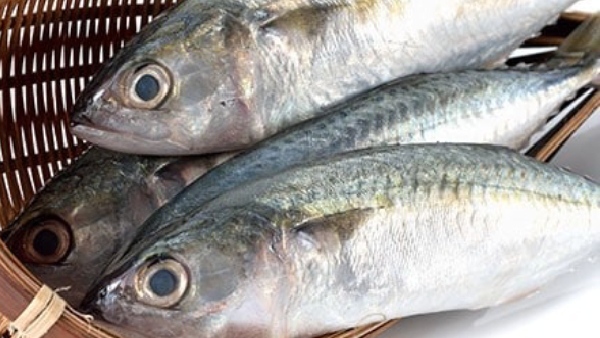 Do you know the Super Health Uses of Ayilai Fish and what are the natural ways to control High Blood Pressure 