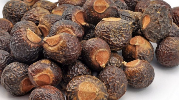  Do you know How to Prepare Boonthi Kottai Shampoo and Poonthi Kottai Juice is the Best for all 