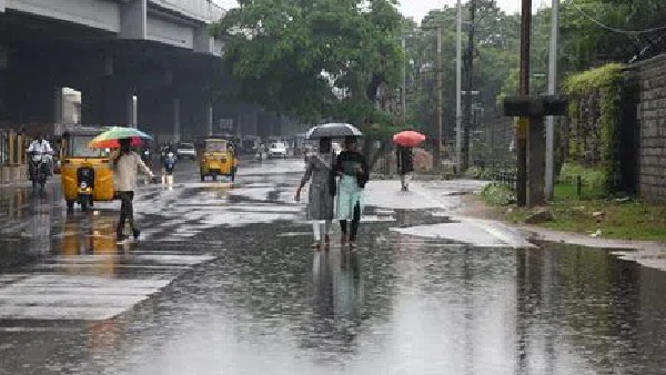 Widespread rain is likely over Tamil Nadu in the next 2 hours 
