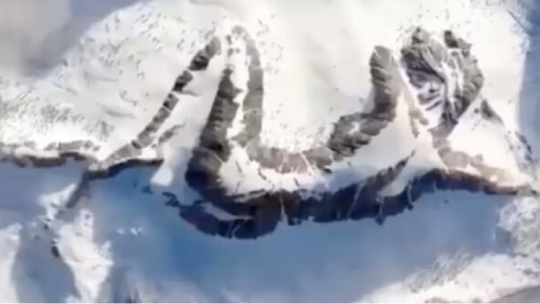 Optical Illusion reveals whether you are a team player or a rule breaker 