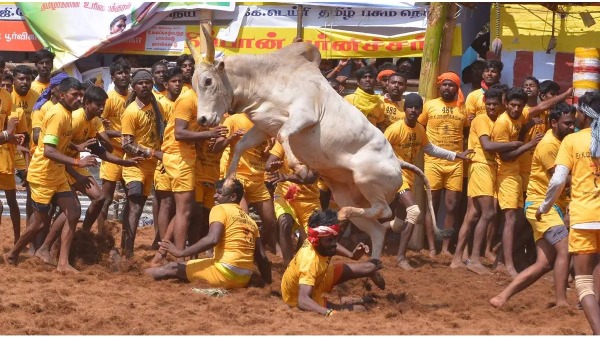 Minister Murthy has denied the allegations of the Alanganallur jallikattu player 