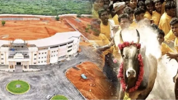  Do you know Excellent Construction of Madurai Alanganallur Jallikattu and Grand ground like Cricket Stadium Galary 