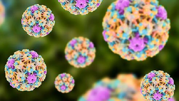 Know about the HPV virus that will affect Almost all sexually active people