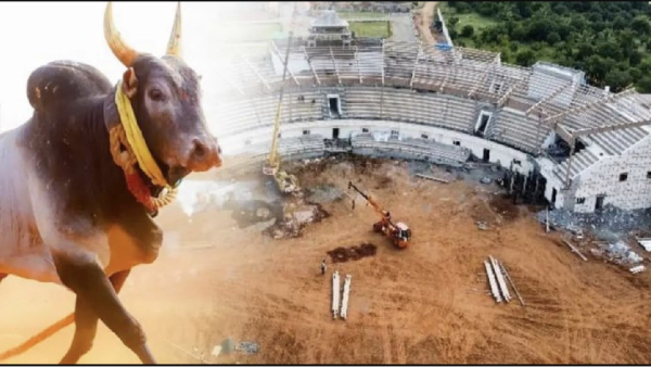 Alanganallur Madurai Jallikattu Arangam and special arrangements for disabled persons today 