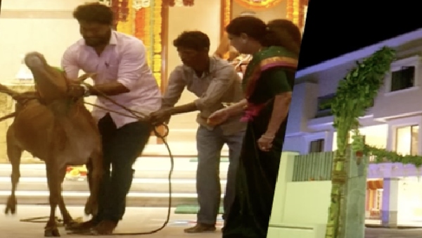  Cow scared by Sasikala house warming ceremony at poes garden in Chennai