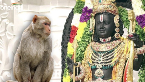  Hanuman Entry: Monkey entered Ram Mandirs Sanctum Sanctorum, says Shri Ram Janmbhoomi Teerth Kshetra trust