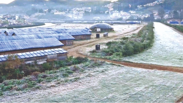 Zero degree celsius in Avalanche 