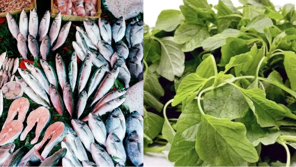 Do you know the Excellent Health Benefits of Fish and Can we eat fish with Radish, what are the reasons Do you know the Excellent Health Benefits of Fish and Can we eat fish with Radish, what are the reasons