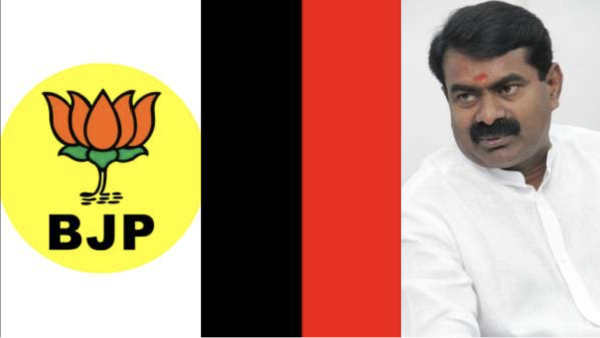 Are these positive Points for naam tamizhar party and tirunelveli, tenkasi constituency candidates announced by Seeman