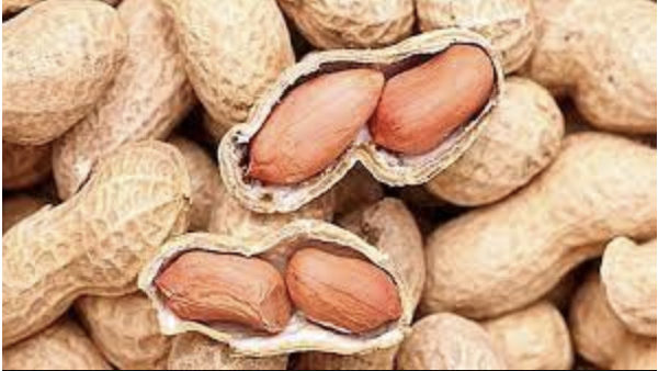 Do you know the Excellent Health Benefits of Peanuts and Soaked Peanuts are the Best for Diabetics