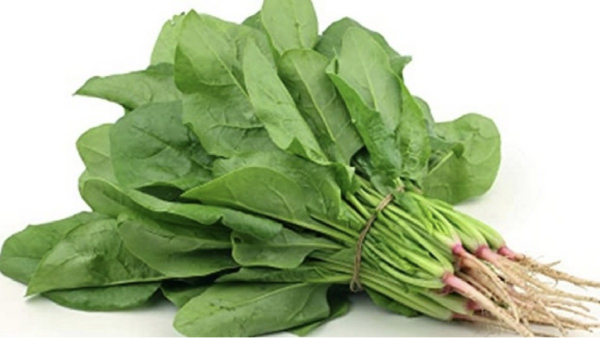 Do you know the Excellent Benefits of Kasini Keerai and Kaasini Leaves are the Best medicinal food for Women Do you know the Excellent Benefits of Kasini Keerai and Kaasini Leaves are the Best medicinal food for Women