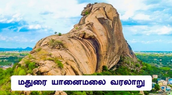 12 years ago, The gang tried to grabbing the Madurai Elephant Hill on the name of Sirpa nagaram 12 years ago, The gang tried to grabbing the Madurai Elephant Hill on the name of Sirpa nagaram