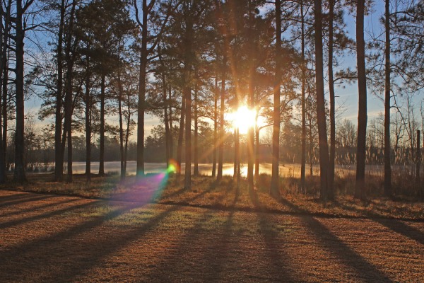 What will be the weather today and tomorrow in Pongai? Full weather condition 