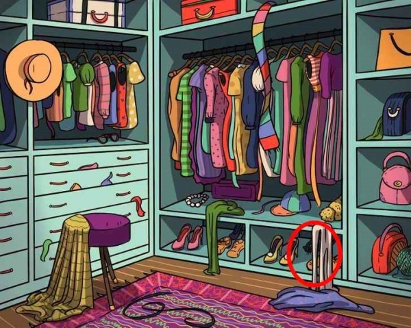 Optical illusion: Can you spot the cat in the picture, if you find it with in 7 second you are genius Optical illusion: Can you spot the cat in the picture, if you find it with in 7 second you are genius