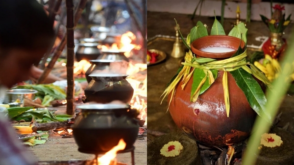 Pongal 2024: Auspicious time Pongal and worship the Sun God
