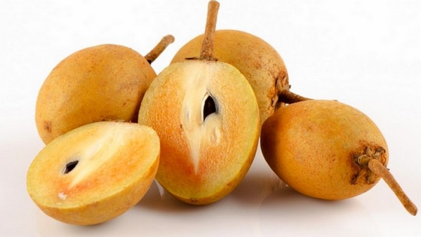 Do you know the Excellent Health Benefits of Sapota Fruit and chikoo alias Sapota fruit is the Best Fruit for Women