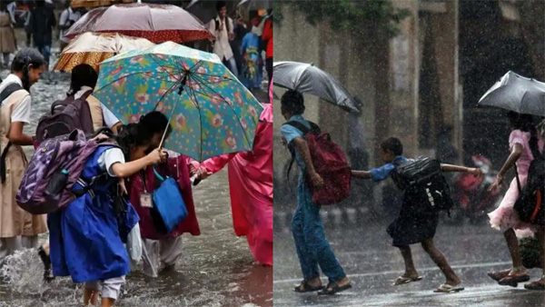 if-it-rains-why-should-the-school-be-closed-collector-of-thanjavur-dissatisfied if-it-rains-why-should-the-school-be-closed-collector-of-thanjavur-dissatisfied