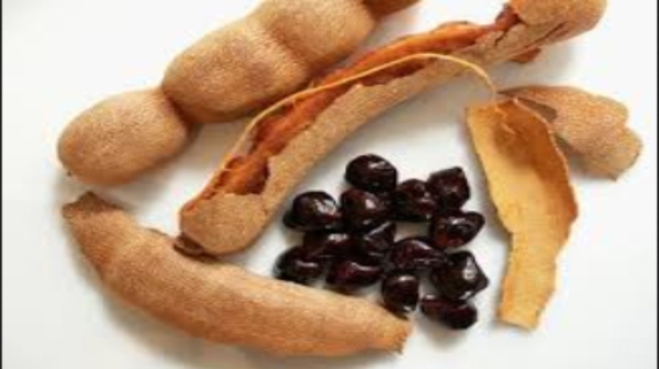 Do you know the Excellent Health Benefits of Tamarind Seeds and Tamarind seed is the Best for Diabetics