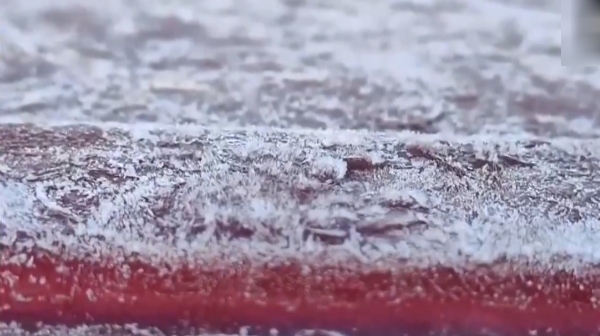 Meteorological Department has warned that there may be frost in the Nilgiris in Tamil Nadu 