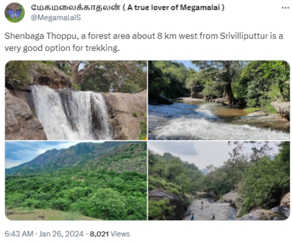 Shenbaga Thoppu, 8 km west from Srivilliputtur is a very good option for trekking 