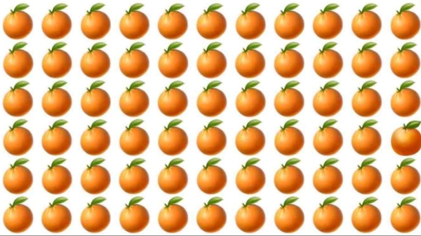 Optical illusion Can you spot the different orange within 6 seconds 