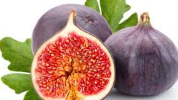Do you know the Excellent Health Benefits in Figs and Soaked figs Fruits are the Good for High Blood Pressure, Heart Diseases Do you know the Excellent Health Benefits in Figs and Soaked figs Fruits are the Good for High Blood Pressure, Heart Diseases