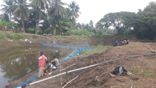 crocodile lying in the puddle missing forest department searching for it by draining the water 