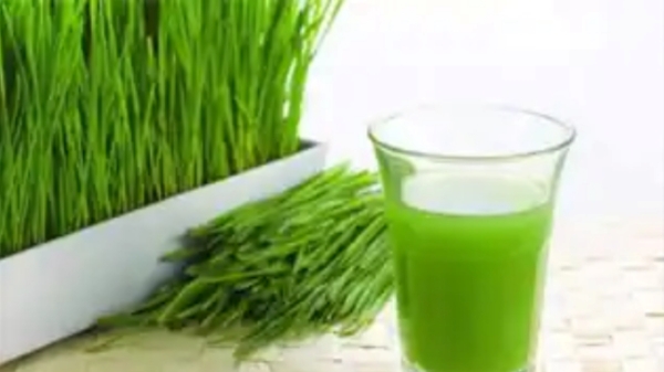 Do you know the Amazing Health Benefits of Arugampul and Scutch Grass alice Arugampul Juice is the Best for all Do you know the Amazing Health Benefits of Arugampul and Scutch Grass alice Arugampul Juice is the Best for all