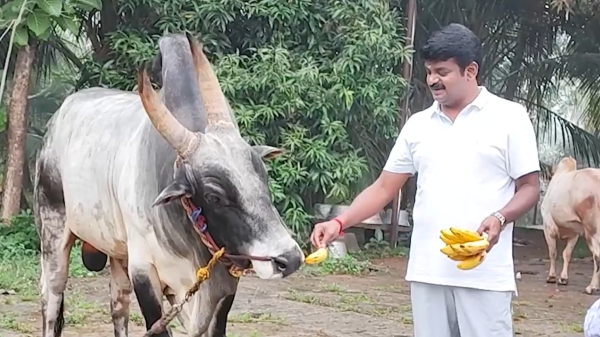 C Vijayabaskar in property case to hear today in Pudukottai court adjourn on 11th January 