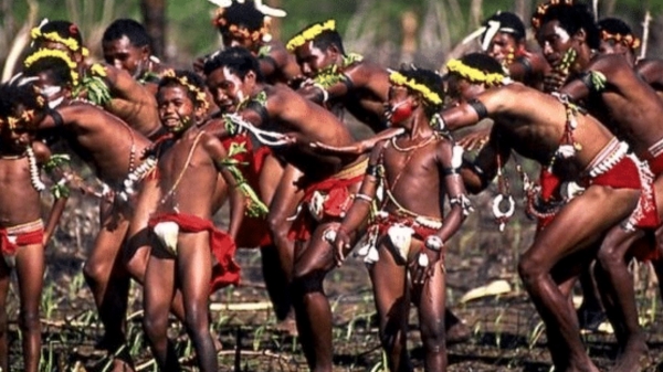  Papua New guinea Sambia tribes drinks semen