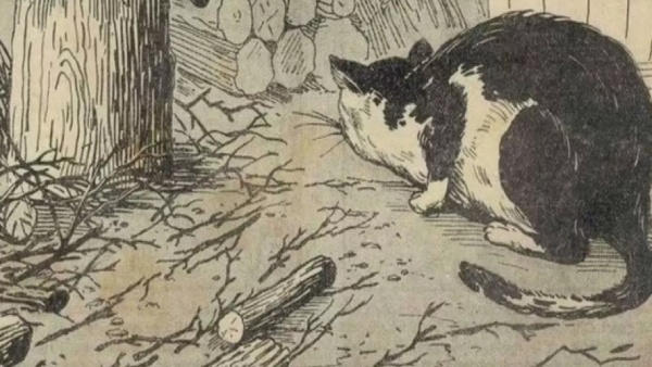 Optical Illusion; Challenge yourself Can You Spot The Hidden Mouse within 10 secconds 