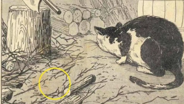 Optical Illusion; Challenge yourself Can You Spot The Hidden Mouse within 10 secconds 