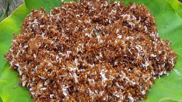  Why it is impt that Odishas red ant chutney gets GI tag