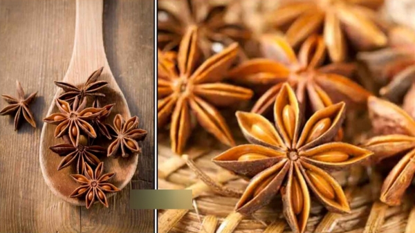 Do you know the Excellent Health Benefits of Star Anise and Annasi Poo is the Best Medicinal Herb for all