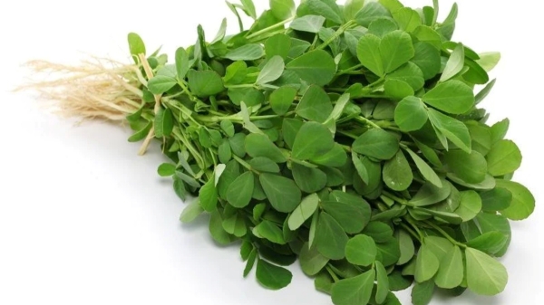 Do you know the Excellent Health Benefits of Venthaya Keerai and Fenugreek Leaf is the Best food for all Do you know the Excellent Health Benefits of Venthaya Keerai and Fenugreek Leaf is the Best food for all