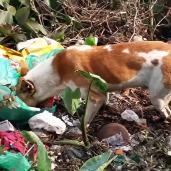 IPS officer Stalin posts an awareness post about how to dispose broken glasses 