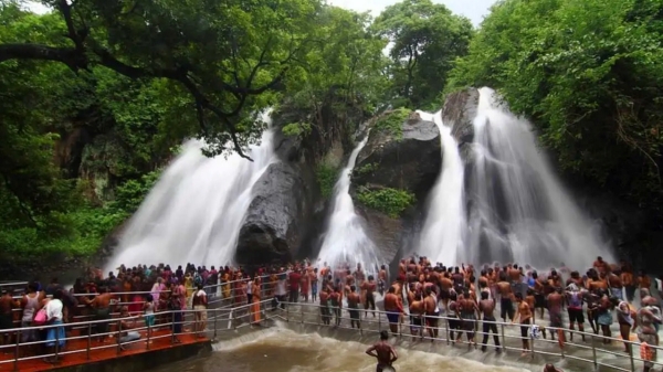  Tenkasi Tourism: People must visited 4 dams near Courtallam and How to reach there? details here