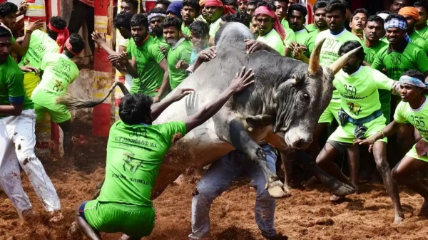 Shocking incident happened in the world-famous Palamedu Jallikattu 