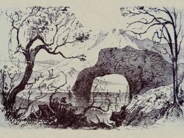 Optical Illusion : can you find how many animals in the picture? 