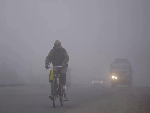  Unusual Climatic phenomenon Nilgiri district locals struggle with health issues