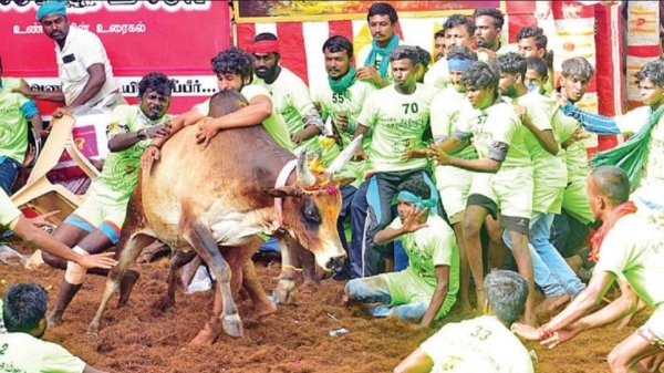 Instructions for booking for alanganallur keelakarai jallikkattu