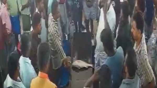 Kathazhai fish costs to Rs 17 thousand in Tanjore market 